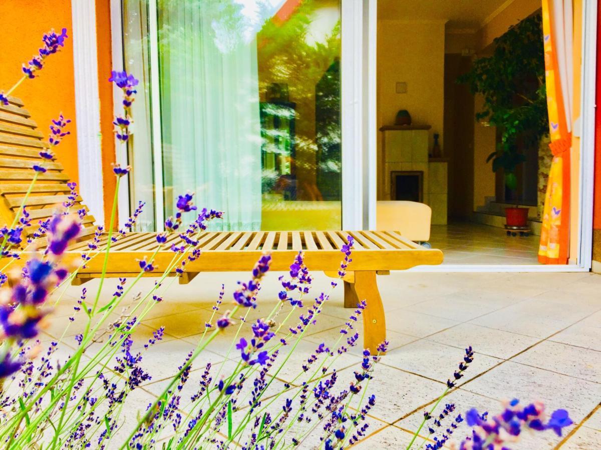 Apollo Inn Velence Extérieur photo
